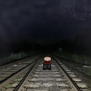 www