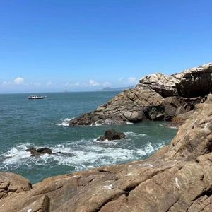 确诊-L（桃籽）