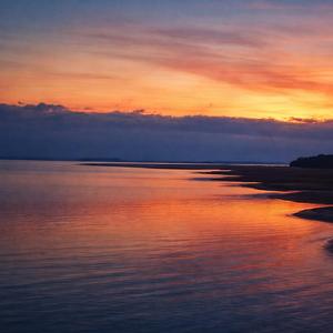 Золота Весна