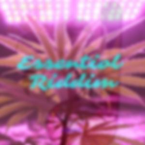 Essential Riddim (Dancehall / Reggae Instrumental)