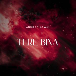 Tere Bina