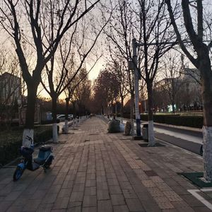 谜底