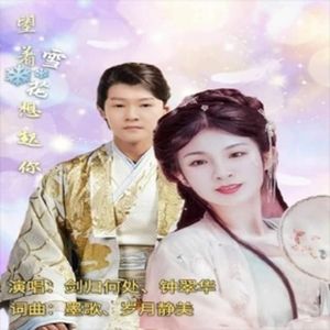 望着雪花想起你 (伴奏)