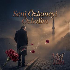 Seni Özlemeyi Özledim