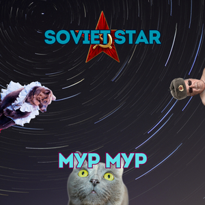 Мур мур