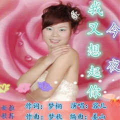 今夜我又想起你