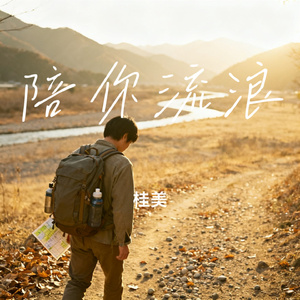陪你流浪