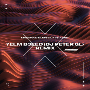 Helm B3eed (DJ_PETER_GL REMIX)