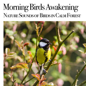 6:20 AM - The Normandy Awakens