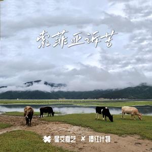 索菲亚诉苦（完整版）