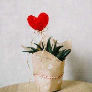 爱要坦荡荡（R&B）