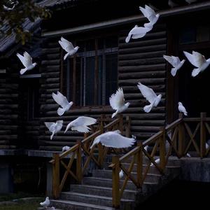 24e6344762e43a452e24958649ed7a482f25087e