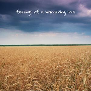 feelings of a wandering soul