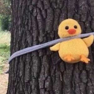 Letting go(Cover 蔡健雅）