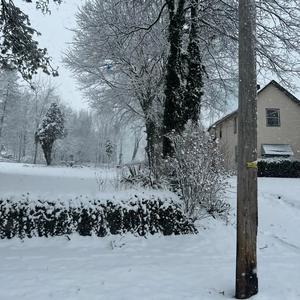 vexatious (feat. thatcherblackwood)