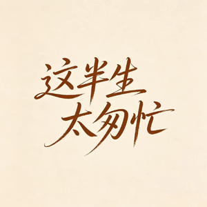 这半生太匆忙