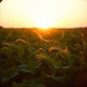 Солоденький солодкий