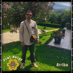 Arriba