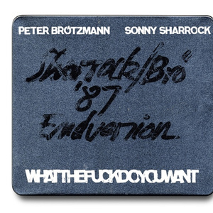 Whatthe****doyouwant 1