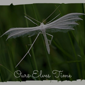 Look What You've Done to My Daughter