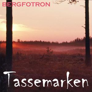 Tassemarken