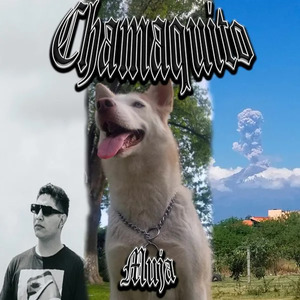Chamaquito