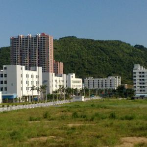归途