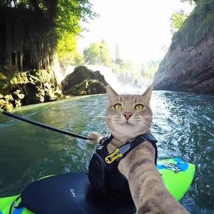 叓叕叚叜叝叞 (3)