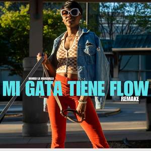 Mi Gata Tiene Flow (Remake)