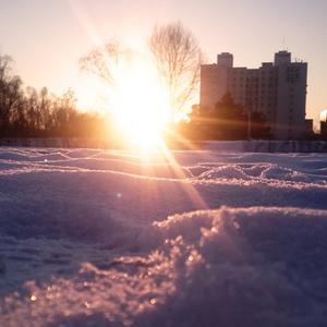 Love Theme In Winter