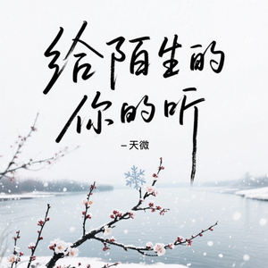 给陌生的你听（怀念版）