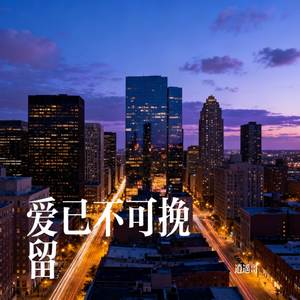 爱已不可挽留