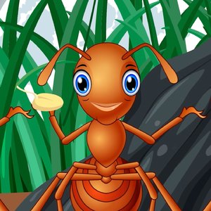 Çalışkan Karıncalar