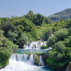 竖琴与和声编织的魔法冒险之梦