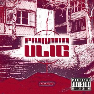 Полк Игореве