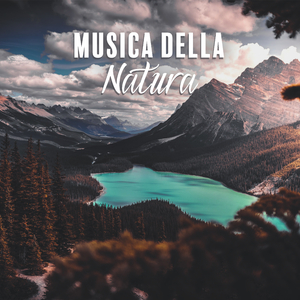 Suoni naturali di alta qualità