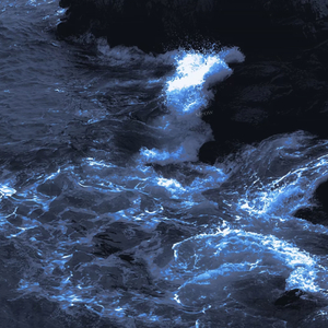 我好想你（彬彬v）