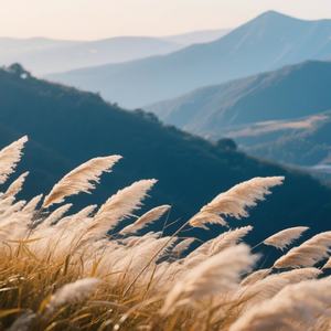 照亮曾经的时光