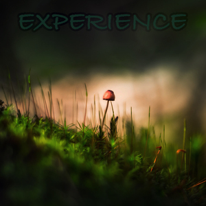 Extraordinary Everyday