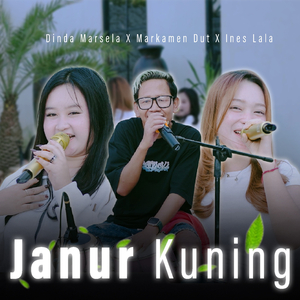 Janur Kuning