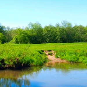 Селяночка (Саша)