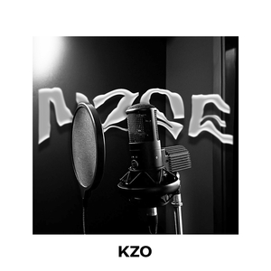 N.Z.S.E.