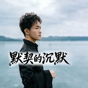 默契的沉默（片段）