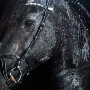 Turisti (feat. Turisti)