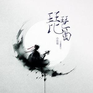 琵琶曲 (DJ细霖版)