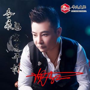 今夜我无法去入睡