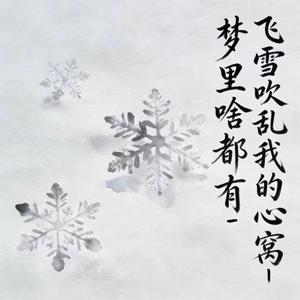 飞雪吹乱我的心窝 (DJ涵涵版)