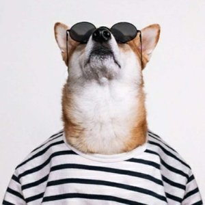 陪你等黄昏日落