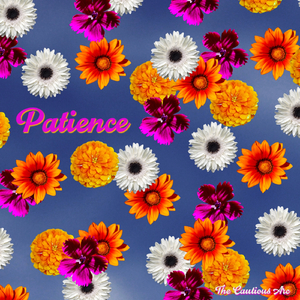 Patience (Original Mix)