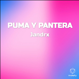 PUMA Y PANTERA